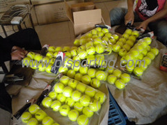 ANHUI PENGFEI SPORTING GOODS CO.,LTD