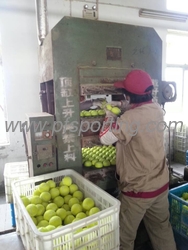 ANHUI PENGFEI SPORTING GOODS CO.,LTD
