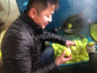 ANHUI PENGFEI SPORTING GOODS CO.,LTD