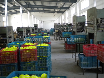 ANHUI PENGFEI SPORTING GOODS CO.,LTD