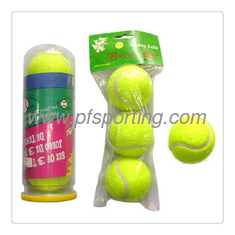 China 3'' Bone Tennis Ball supplier