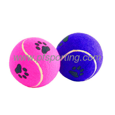 China Pet Chew Tennis Ball supplier