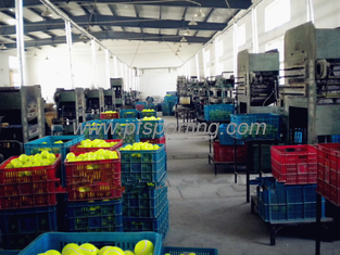 China Rubber Ball Dog Toys manufcturer supplier