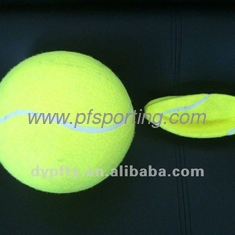 China Small Pet Tennis Balls made by natural rubber supplier