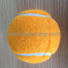 China pet outdoorpets training goodscarriers &amp; houses&quot; supplier
