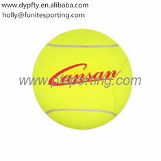 China inflatable bouning ball supplier