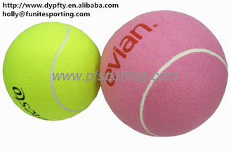 China custom made inflatable ball supplier