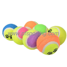 China colored  pet tennis ball supplier