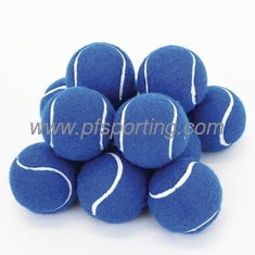 China 2.5inch tennis ball toy for pet playing supplier