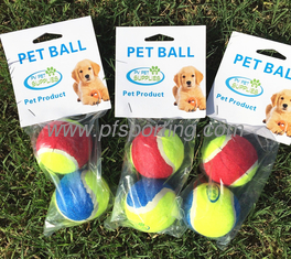 China Dog Toy  Tennis Balls for Your Dog. 2-Pack, Colors Vary supplier