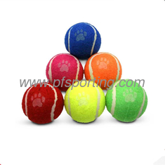 China outdoor 6.2cm rubber soft dog fetch toy orange pet tennis ball supplier
