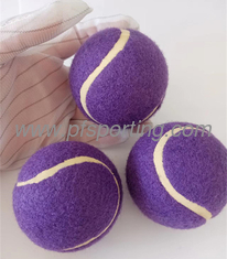 China Squeaky Tennis Balls for Large or Small Dogs and Puppies - Dog Training Toys for Positive Reinforcement supplier