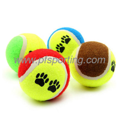 China WORLD OF PETS SQUEAKY TENNIS BALL DOG TOY 2 PACK supplier