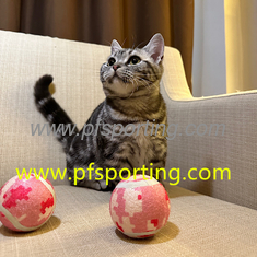 China large dog tennis ball supplier