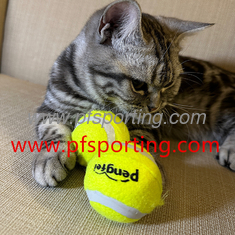 China Squeaky Dog Toys Latex Squeak Dog Ball for Small Medium Pets Soft Rubber Bouncy Interactive Fetch Balls supplier