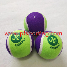 China Eco-Friendly Custom Pet Toys Indestructible Dog Toy Dog Toy Ball supplier