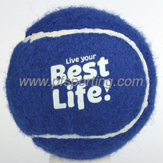 China dog tennis ball supplier