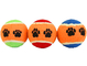 Pet Toy Rubber Ball supplier