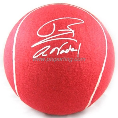 9.5'' Jumbo Tennis Ball supplier
