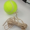 2.5inch training tennis ball with elastic string supplier