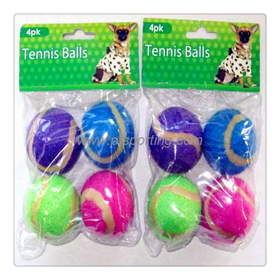 Dog Playing Tennis Ball supplier