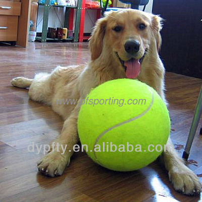 giant inflatable ball inside supplier