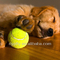 variety of colors tennis ball supplier