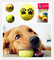 variety of colors tennis ball supplier