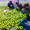 inflatable rubber jumbo tennis balls supplier
