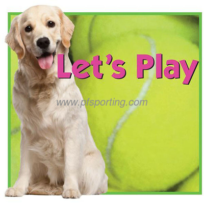 Rubber Ball Dog Toys manufcturer supplier