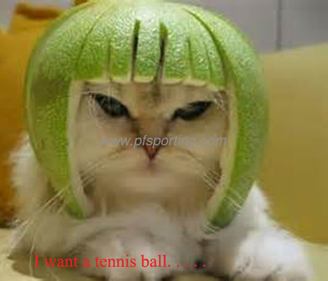 Eco-friendly rubber toy tennis  ball for pet games supplier