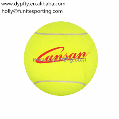 inflatable bouning ball supplier