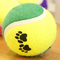 paw print tennis ball-2pack supplier