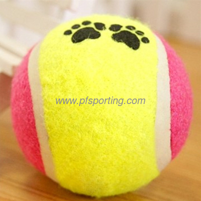 paw print tennis ball-2pack supplier