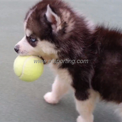 pet playing ball supplier