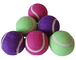 Purple Pet Squeaky Tennis Ball with Squeaker Tennis Ball Dog Toy supplier