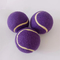 Squeaky Tennis Balls for Large or Small Dogs and Puppies - Dog Training Toys for Positive Reinforcement supplier