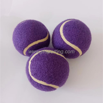 Squeaky Tennis Balls for Large or Small Dogs and Puppies - Dog Training Toys for Positive Reinforcement supplier