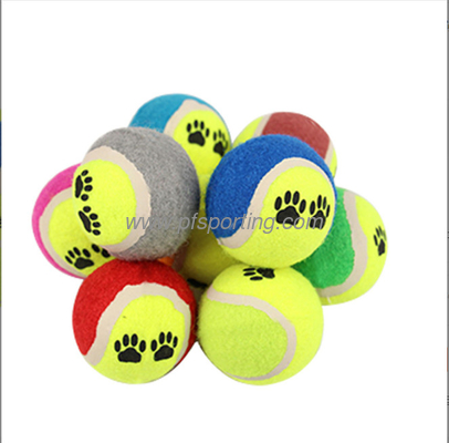 WORLD OF PETS SQUEAKY TENNIS BALL DOG TOY 2 PACK supplier