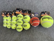 Tennis Balls for Dogs Funny Squeaky Dog Toys Chew Toys for Exercise and Training | 6 Pack Colorful Easy Catching Pet Dog supplier