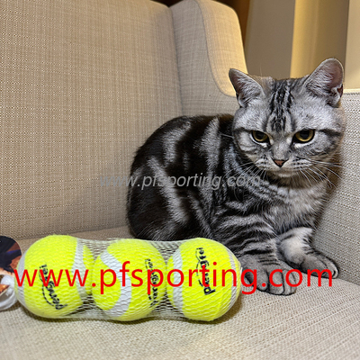 Squeaky Dog Toys Latex Squeak Dog Ball for Small Medium Pets Soft Rubber Bouncy Interactive Fetch Balls supplier