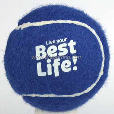 dog tennis ball supplier